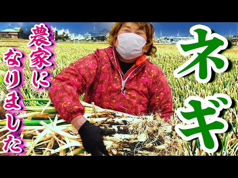 エンタメ系