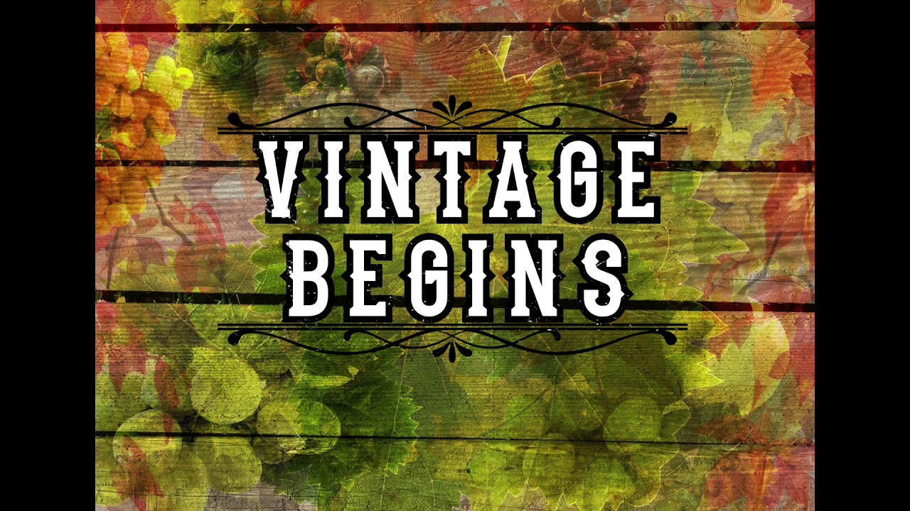 Vintage Begins【オリジナル曲】