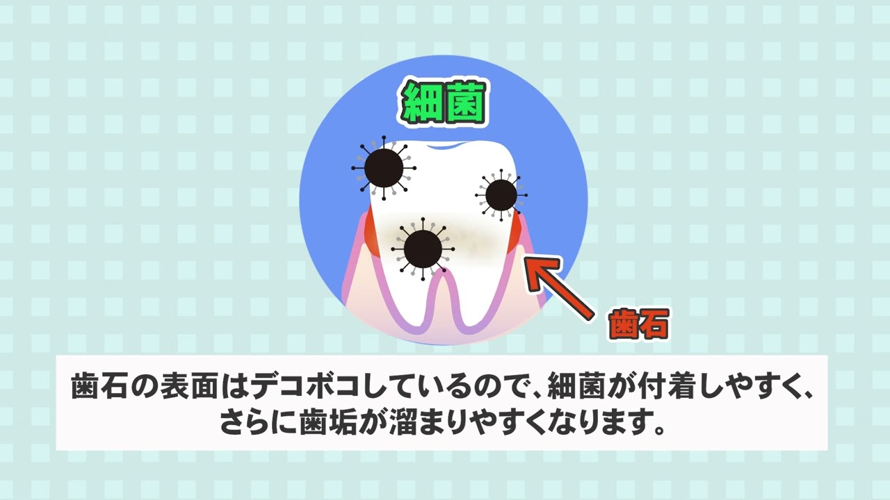 歯科サイネージ動画