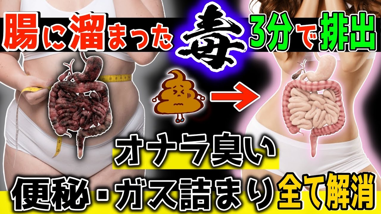 ブック、自己紹介動画