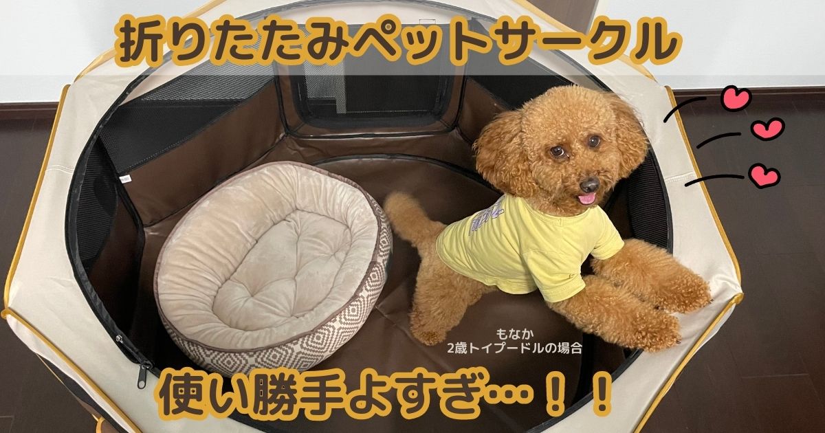 カインズの折りたたみ「ペットサークル」が超有用。旅行や災害時にも役立つアイテム | となりのカインズさん