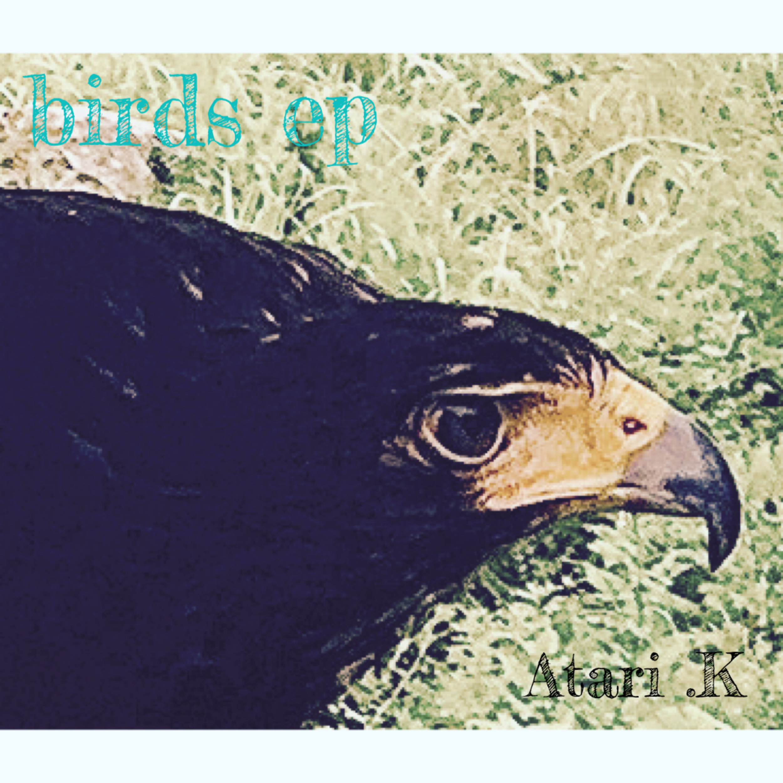 birds ep by Atari.K | Audiostock(オーディオストック)