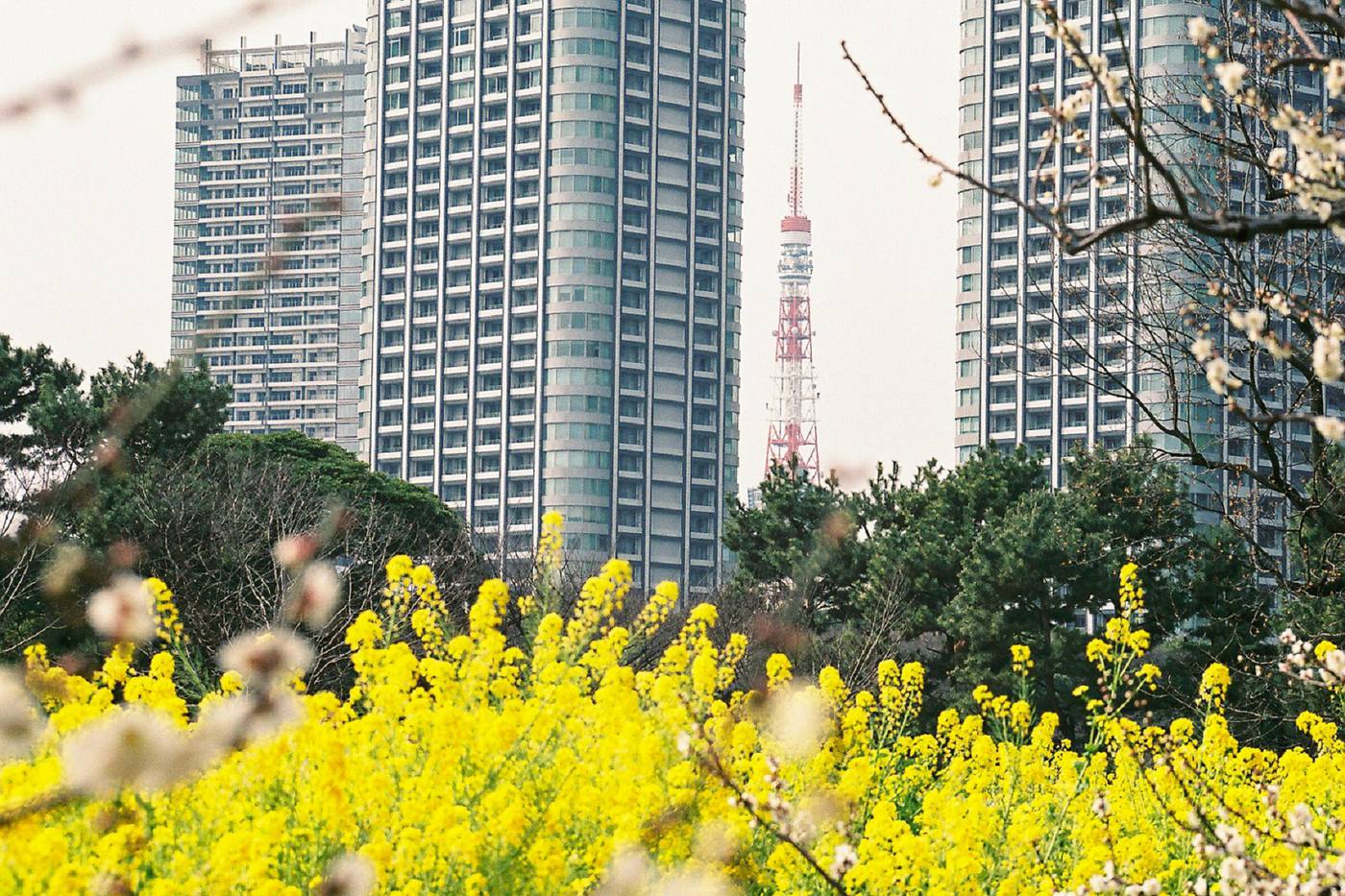 展示会、レポート