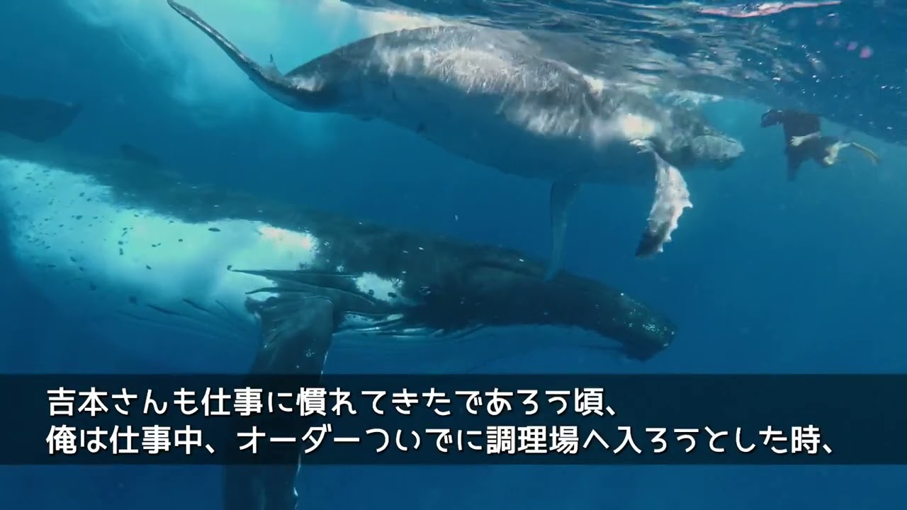 (非公開) Youtube 短編小説風