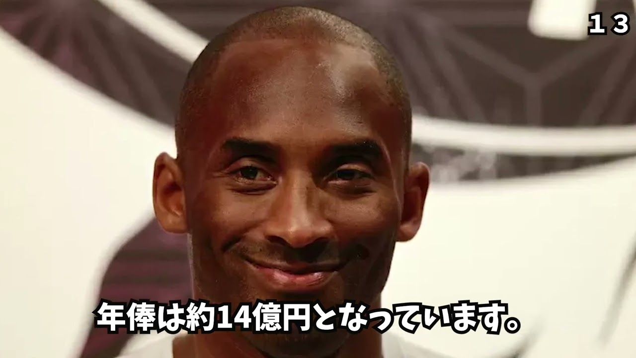 ポートフォリオ、日本代表