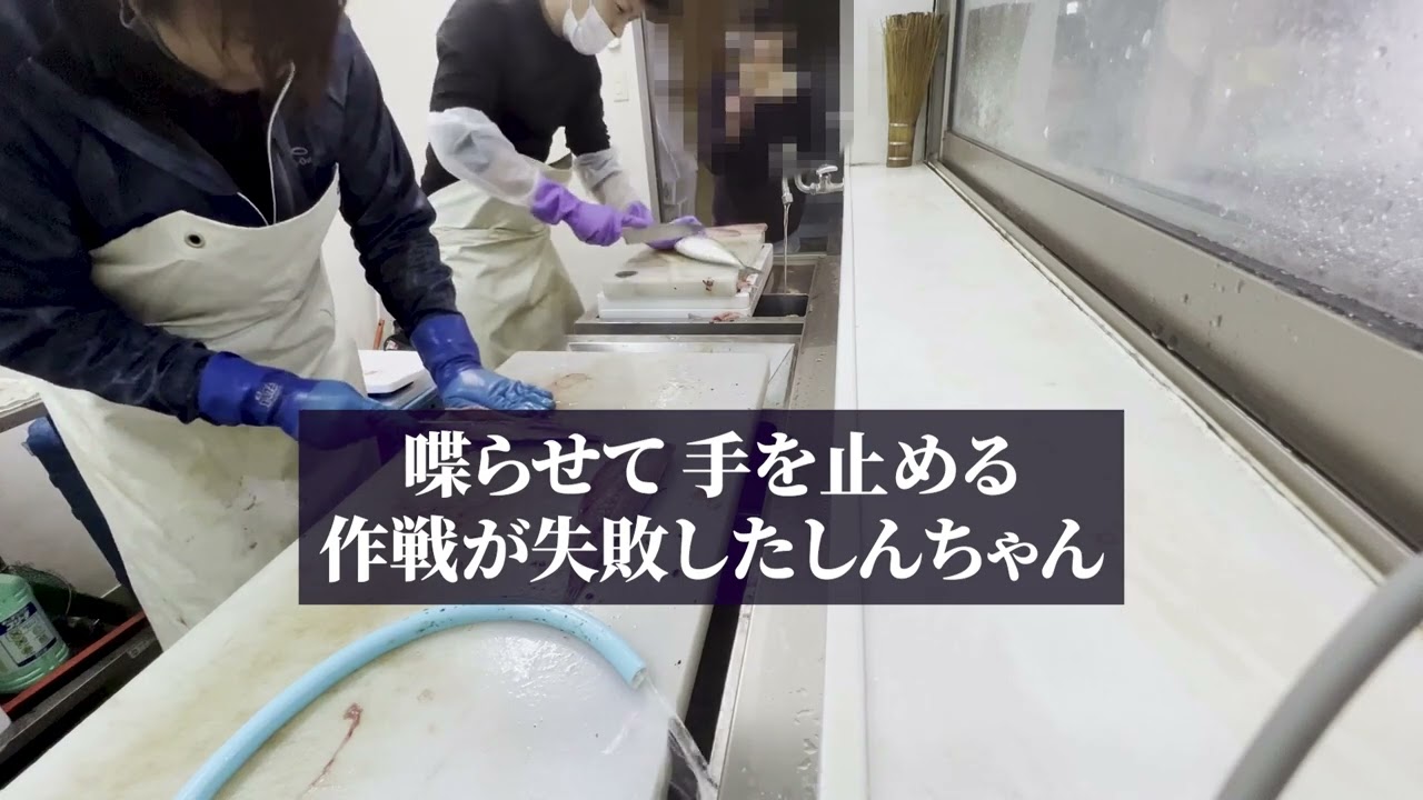 転職、ポートフォリオ