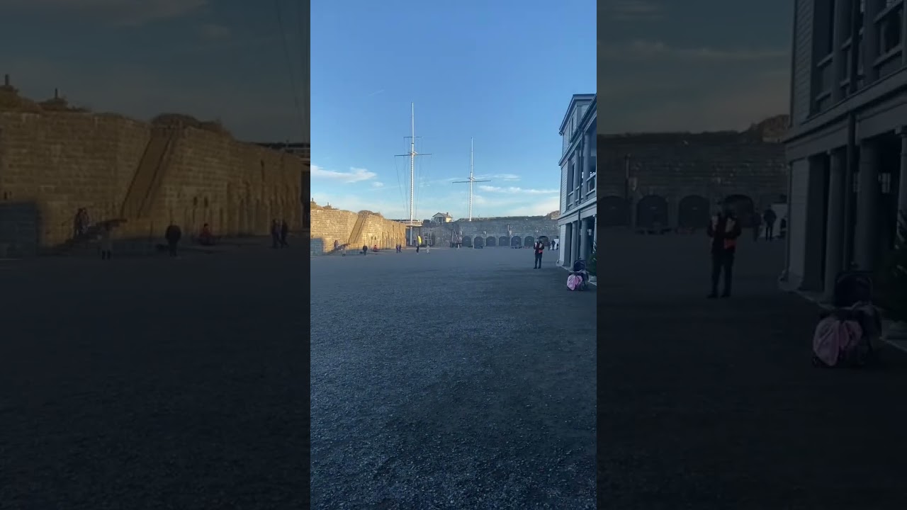 編集者、video production