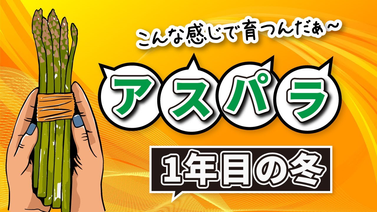 マッキーチャンネル 様