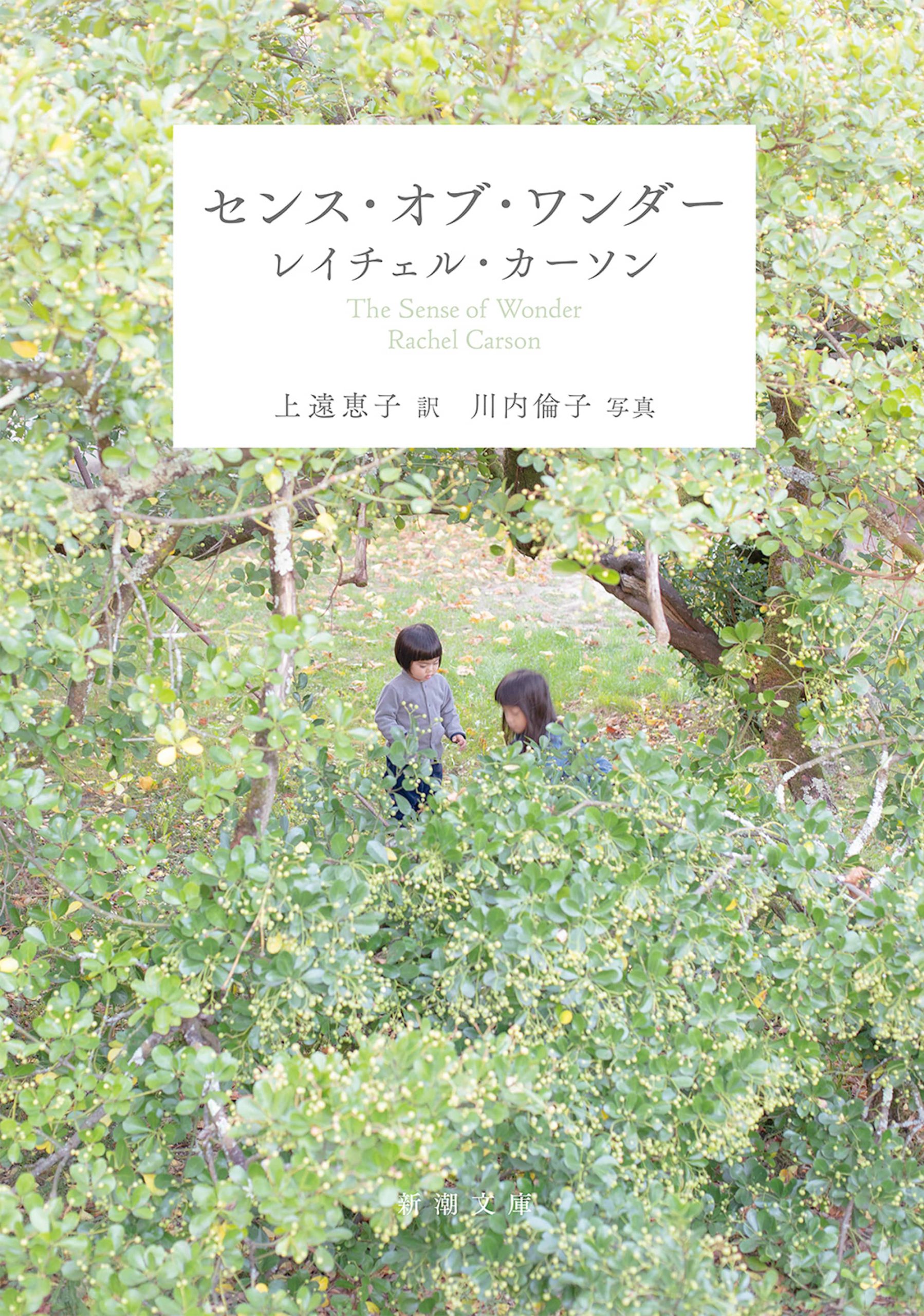 culture、新聞広告