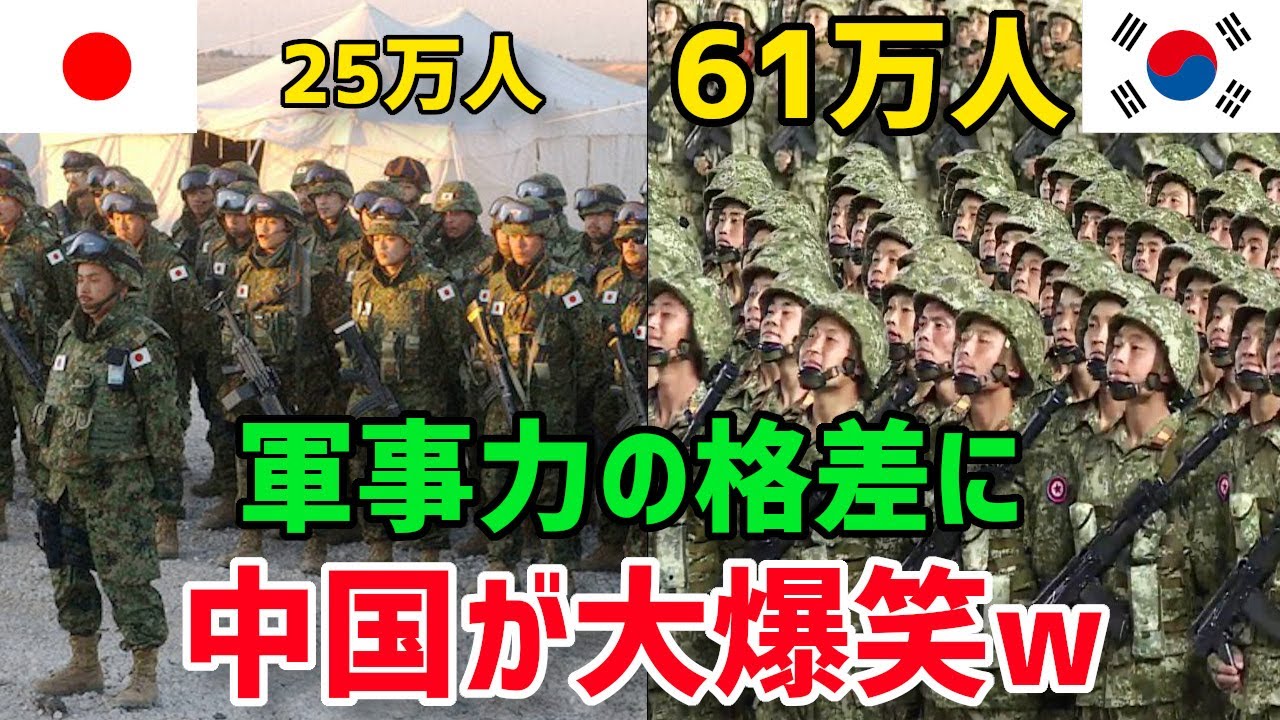 たべもの、ビート提供