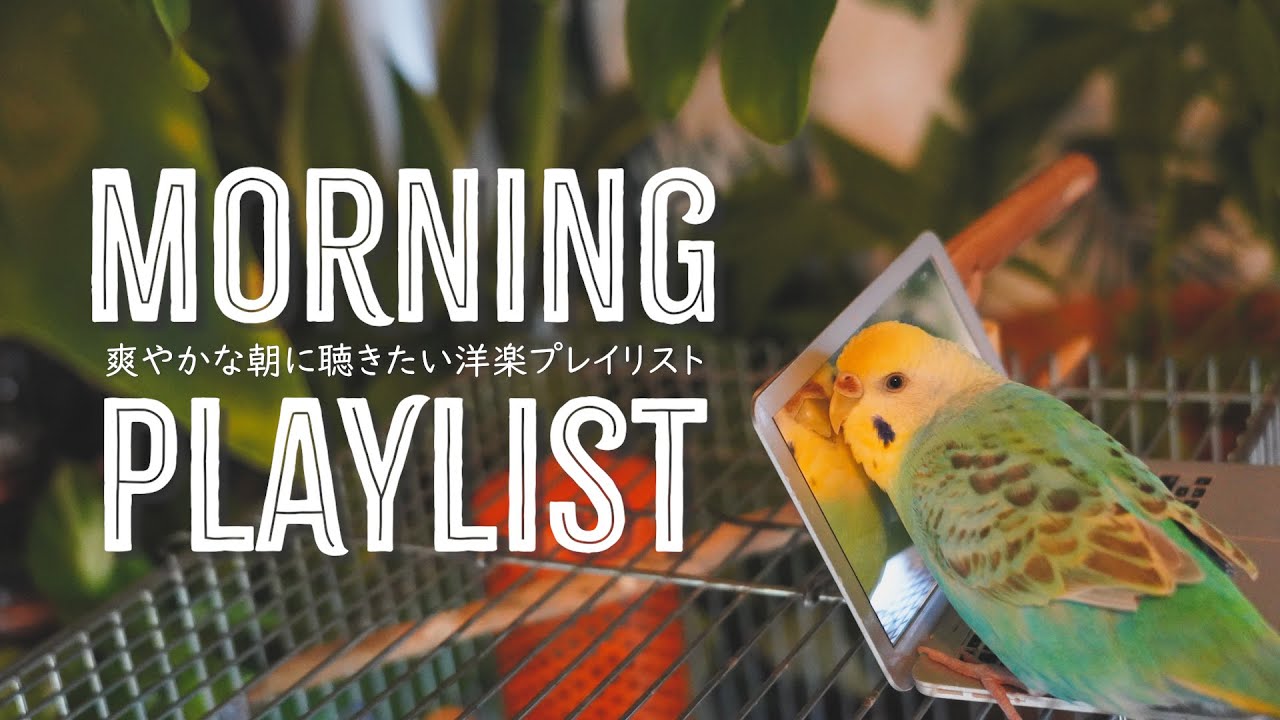 イラスト、playlists