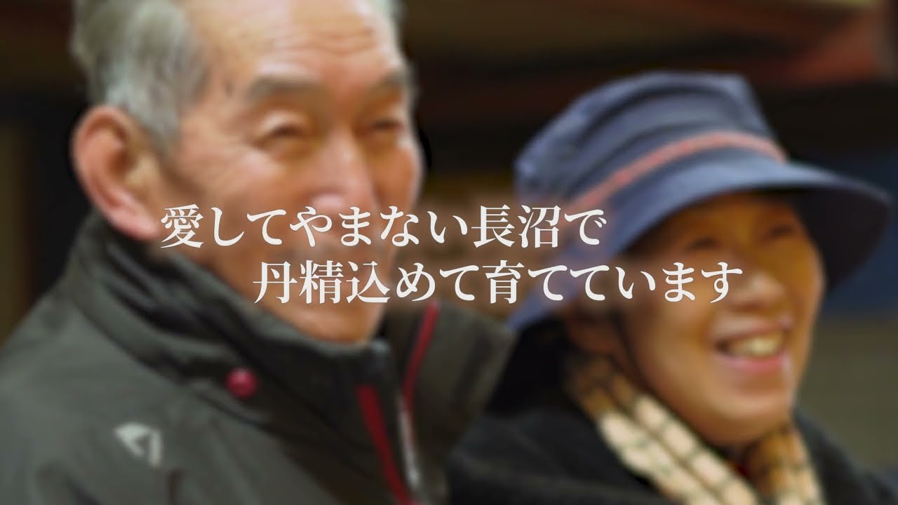 紹介動画、映画