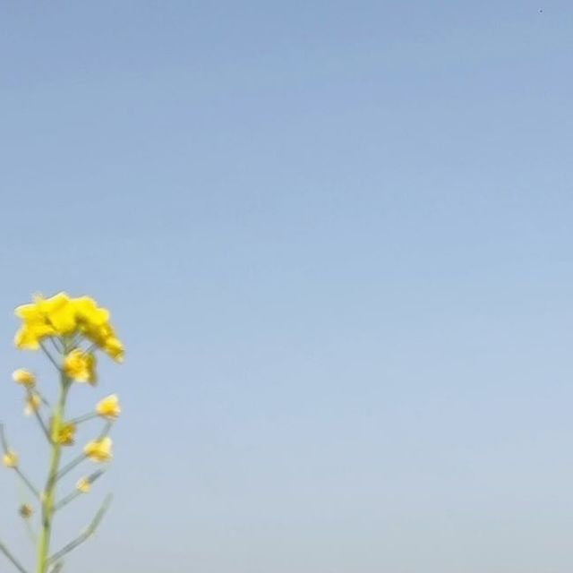 耳をすませば、撮影