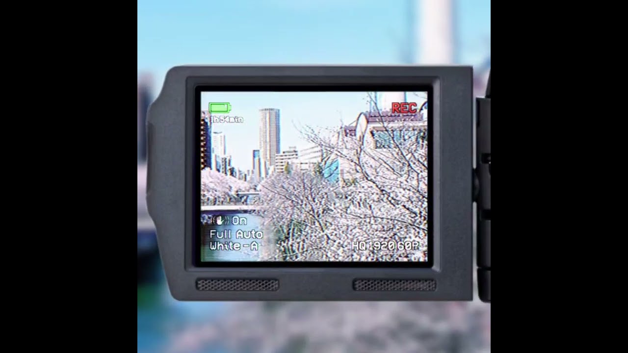 mv、2022