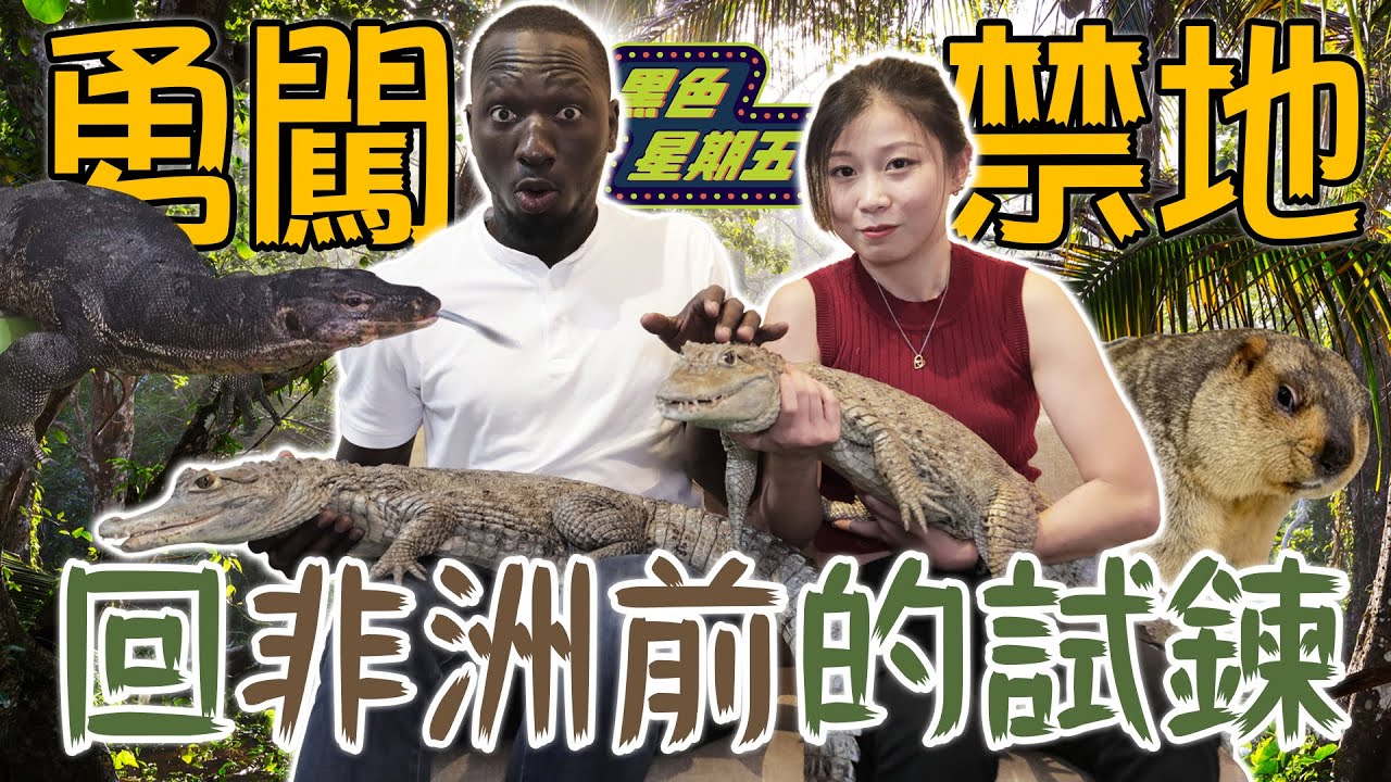 【剪輯】回非洲前的試鍊「黑龍勇闖秘密禁地實測膽量」挑戰徒手餵鱷魚右手女友差點就不見？！【黑色星期五】#83@哇係黑龍 @鱷鄰居&沙西米 Croco Sashimi