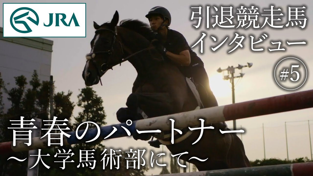 【引退競走馬インタビュー】#5 青春のパートナー ～大学馬術部にて～ | JRA公式