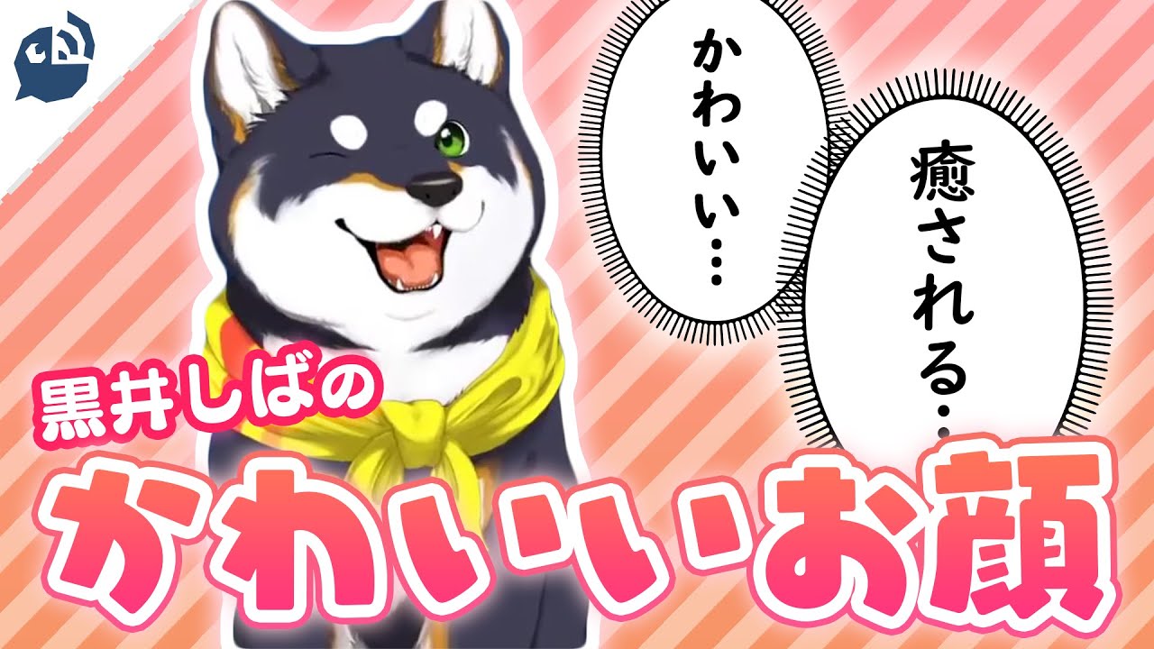 リクエスト、shorts