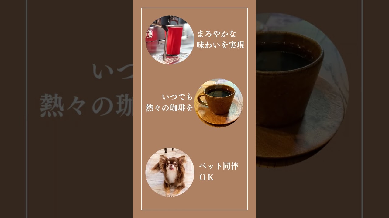 飲食、動画編集