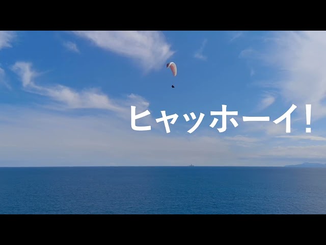 長谷川三奈 わんわん物語