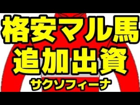【一口馬主】ワラウカドの所属馬に出資しました!!