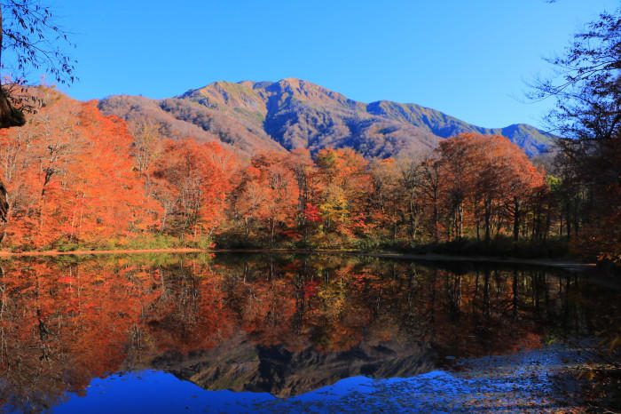 実践！私のマイクロツーリズム〜自然豊かな奥越エリア「越前大野・勝山」を冒険する！〜 | たびこふれ