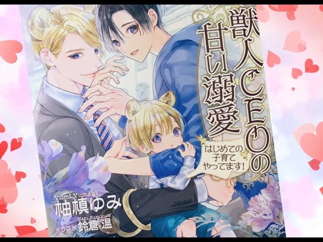 ゲイ、小説