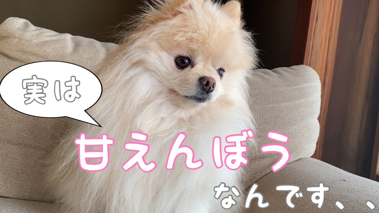 可愛い、ec