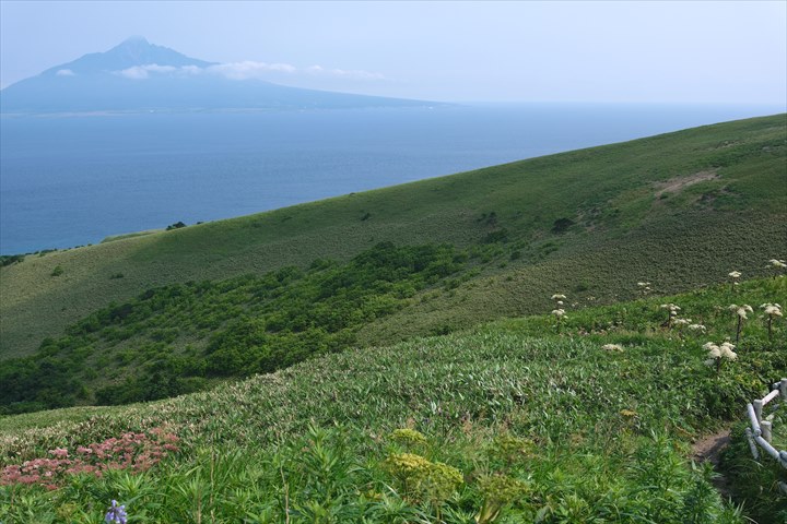 広報、ran tonosho