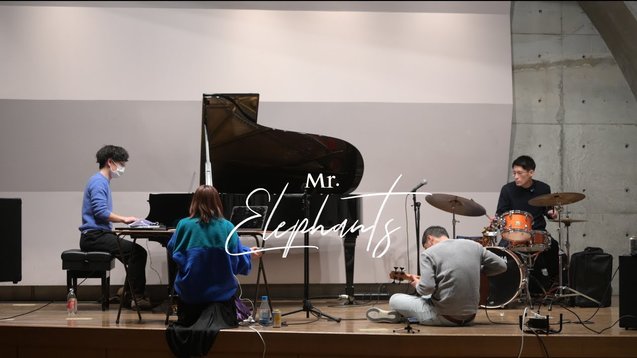 Mr.Elephants - Looking Back
