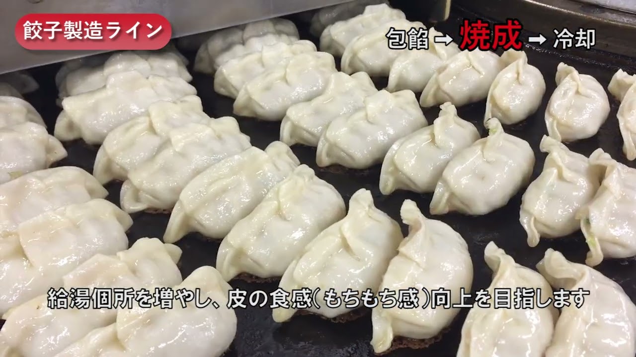 餃子ライン完パケ2