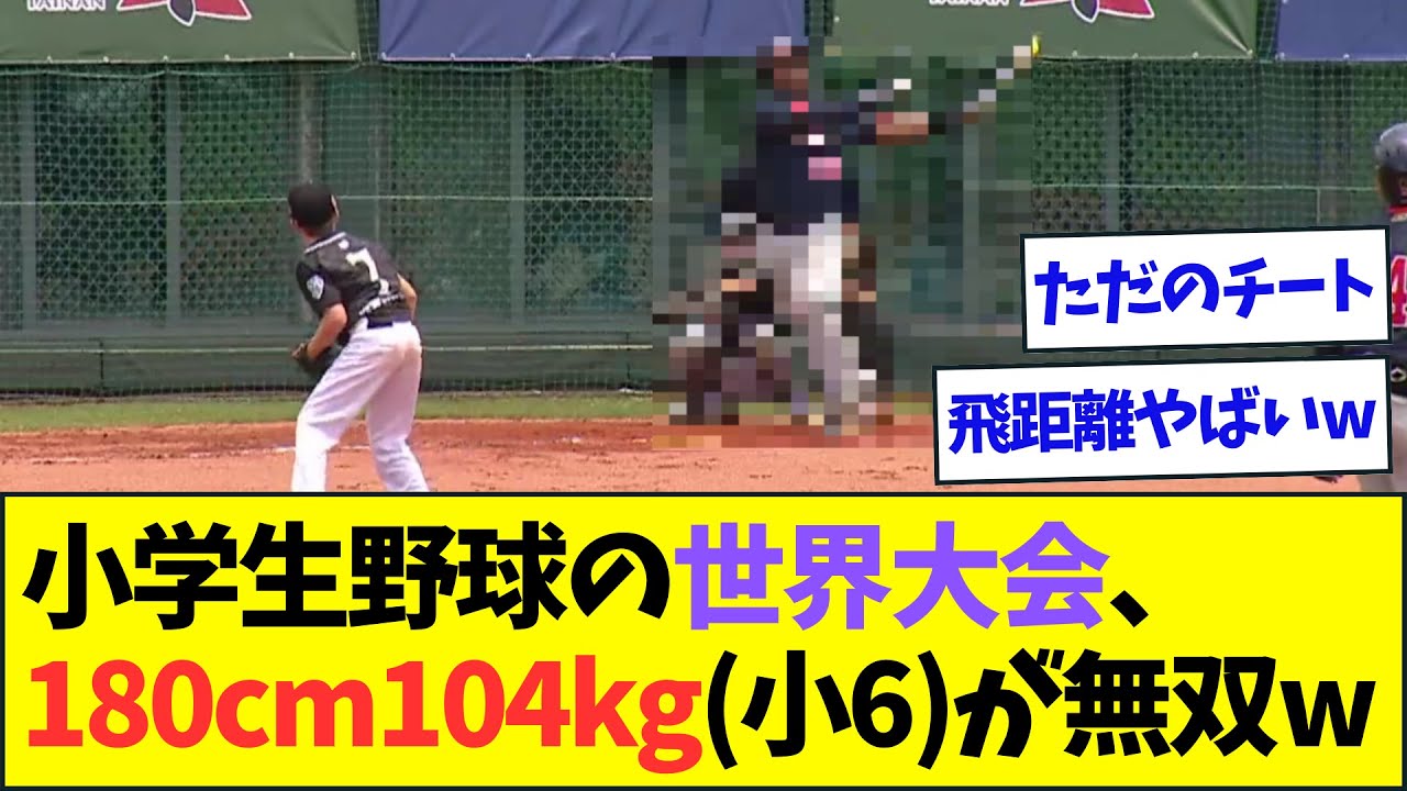 実績動画　2ch野球系