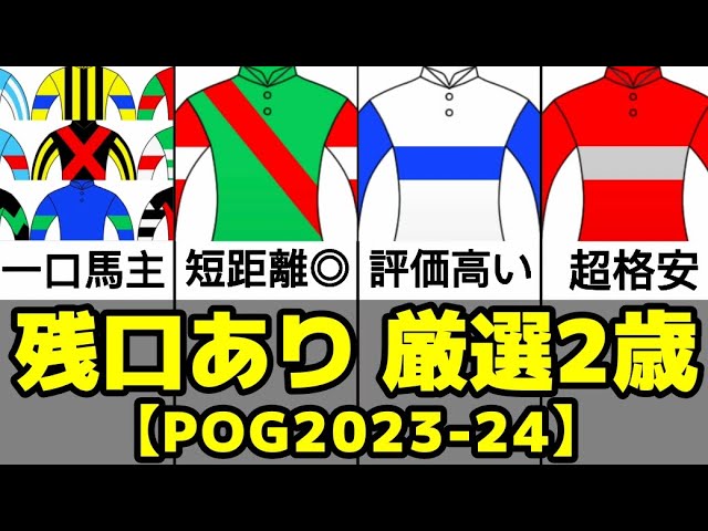まだ出資できる隠れたクラブ所属2歳馬3選【POG23-24】