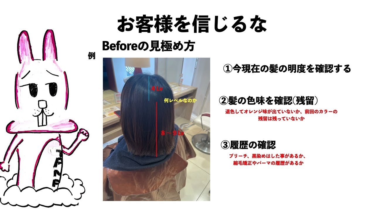 動画編集者、スタイリスト