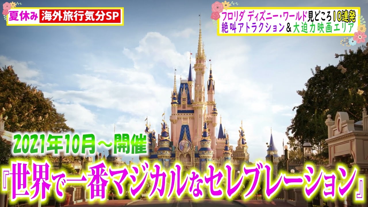 テレビ、インスタ