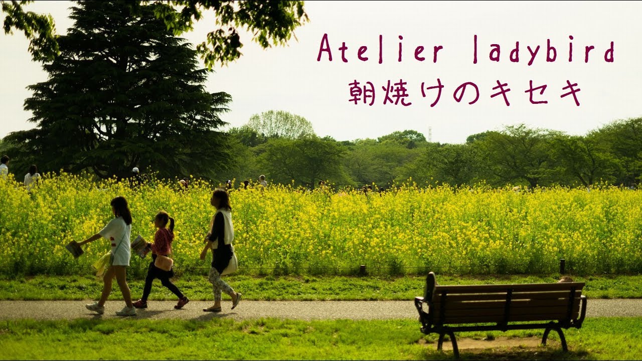 朝焼けのキセキ - Atelier ladybird feat.すぎやま