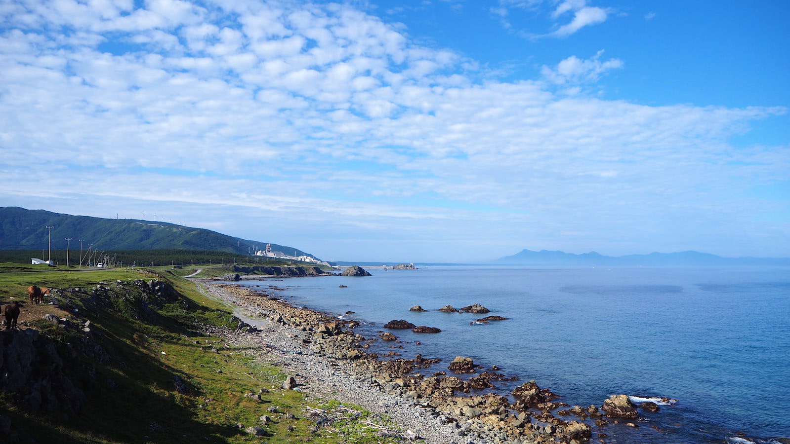 旅カメラ、何にする？サブ機にぴったりなOLYMPUSの高級コンデジ「TG-5 Tough」